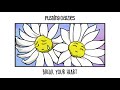 Pushing Daizies - Break Your Heart