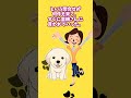 【2chほっこり】うちの犬(雑種・外飼い)が子犬を産んだ時、朝から餌をやりに行くと、四匹だった子犬が五匹に増えてた。 #Shorts #2ch #ゆっくり #ほっこり