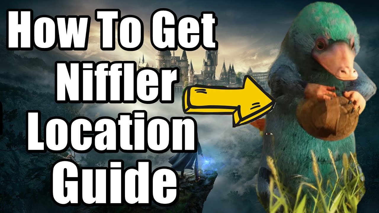 Hogwarts Legacy How To Get Niffler Fur Niffler Den Location Guide YouTube