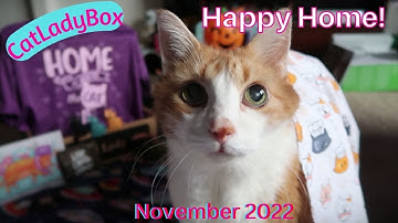 CatLadyBox Unboxing | November 2022