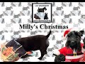 Not diamond painting  milly the scottie dog  christmas present opening