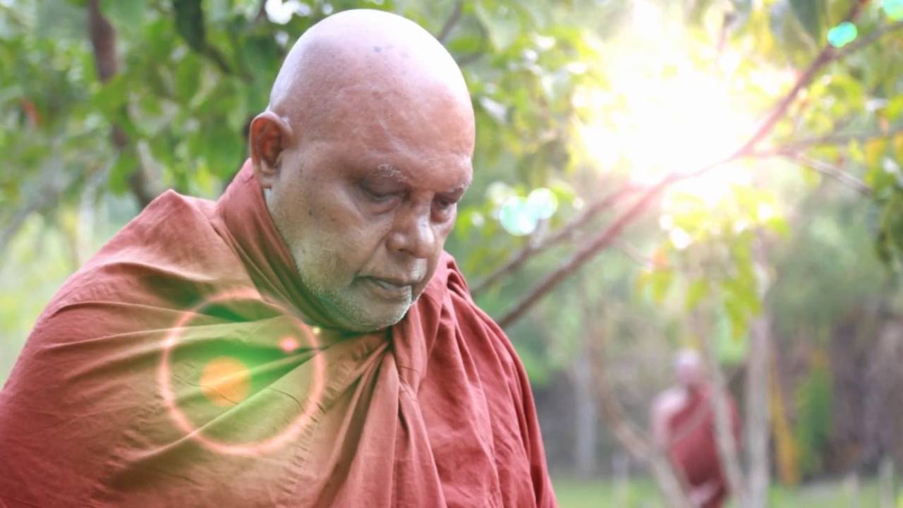 緬懷 聖法大長老 In Memory Of Mahathera Ariyadhamma Youtube