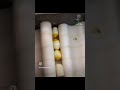 El LIMON LO HARA POR SU FAMILIA (PARODIA En Español) Memes En ESPAÑOL #shorts #humor