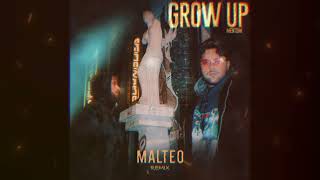 Mentum - Grow Up (Malteo Remix)