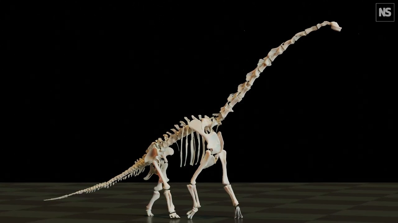 Living Sauropods? No Way, Science