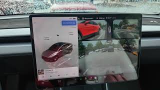 Day 3299 Tesla Ruby FSD Parking Comedy of Errors