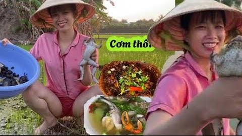 Ra đùa thăm đú dính cặp cá tóc đồng ngon và con ếch bự chà bá được cơm ngon #thanhgiangvlog
