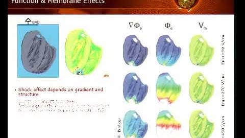 Prof. Gernot Plank | Using multiscale in-silico models of the heart for optimisation of......