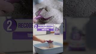 Conoce El Paso A Paso Para Usar La Nueva Arena Unikat