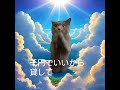 猫ミーム神様のおシュールなお告げ「陸(ろく)の神様（お願いする神様）」#short #shorts #猫ミーム #funny #lgbt