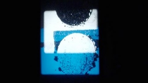 Extended Cinemas | After Dark | Exploratorium |  2015