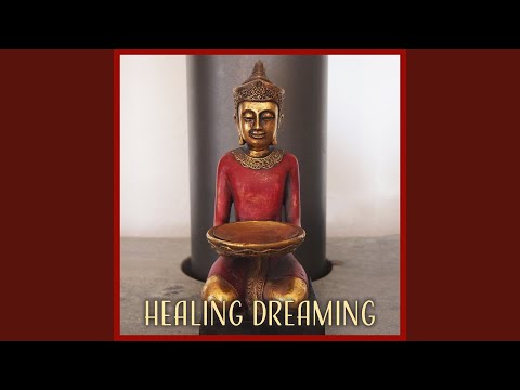 Guided Meditation