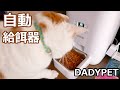 猫の自動給餌器（自動餌やり機）を使ってみた