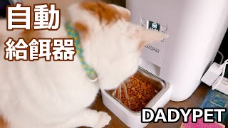 猫の自動給餌器(自動餌やり機)を使ってみた