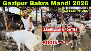 GAZIPUR BAKRA MANDI 2026 🐐 | Biggest Goat Market in Delhi | Bakra Mandi New Video 😍