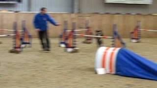 Paul & Pixie - Elementary Jumping