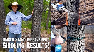 How to Improve Hardwood Timber for Wildlife - Part 3: Girdling Results