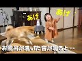 お風呂が沸いた音が鳴ると嬉し過ぎてテンションがおかしくなっちゃう1歳児