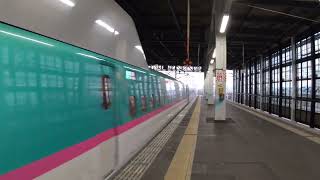 東北新幹線 やまびこ59号 盛岡行き E5系U39編成 2022.11.13