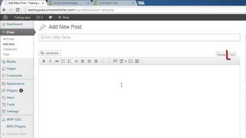 How to Add JavaScript to Wordpress Post