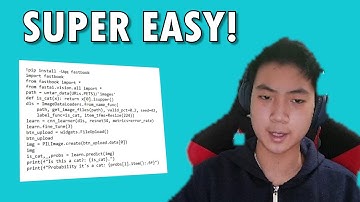 How to make an AI in 10 minutes! | Fastai For Kids (ep.01)