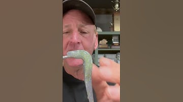 New Fluke Rigging Technique