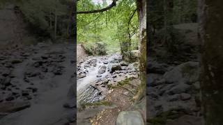 Будь силен, как эта горная река #горы #горнаярека #красотаприроды #грузия