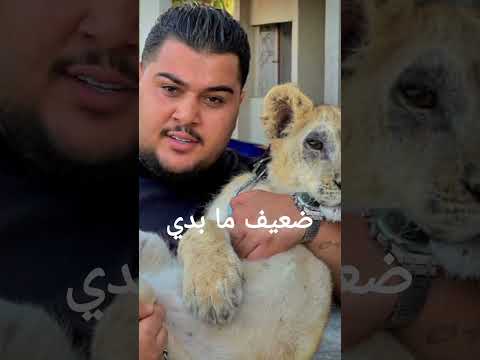 عندك عمر ما بتقتلك شقه ريلزات اكسبلور ورك قرآن