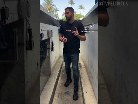 CURIOSIDADES DE LA