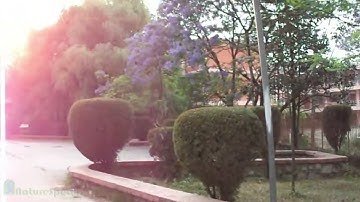 Central Department of Population Studies CDPS, Kirtipur, Kathmandu