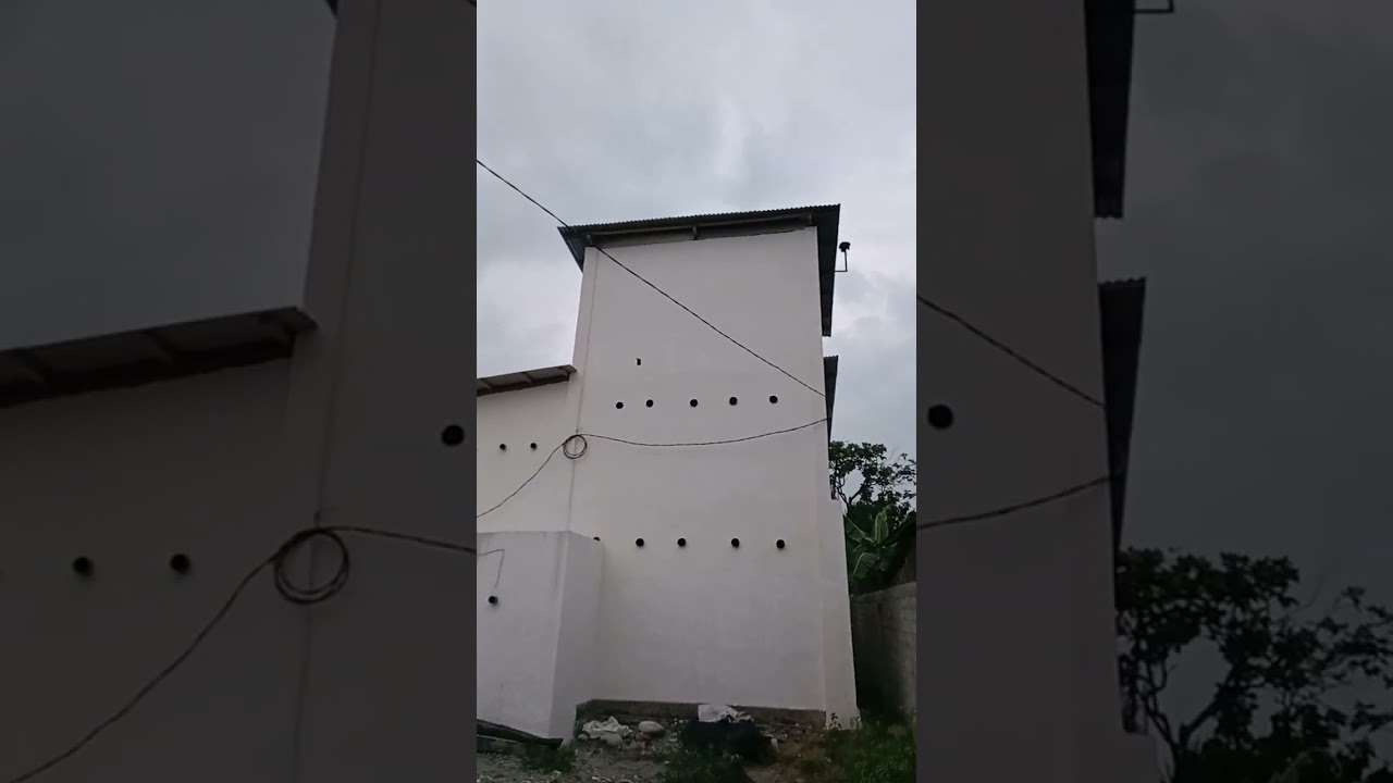 ON PRRDANA SP KELAMBU HITAM EDITOR TANDI WALET JOS