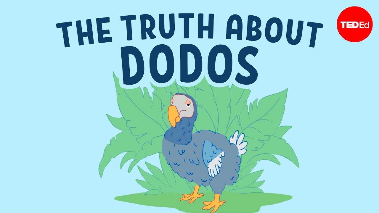 The Extinction of Dodo Birds: Unveiling the True Reasons - Leon Claessens