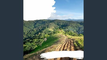 Groovy Ambience for Enchanting Afternoons