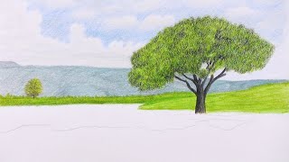 رسم منظر طبيعي سهل بالالوان الخشبية - رسم وتلوين - رسم بالوقت الحقيقي - الجزء الثالث