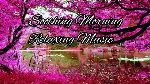How to see Soothing realxing on soft music/Morning realx on music