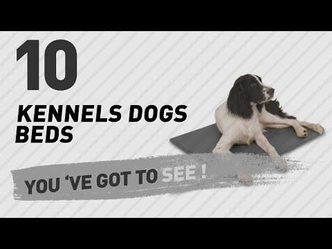 kennels-dogs-beds-//-pets-lover-channel-presents: