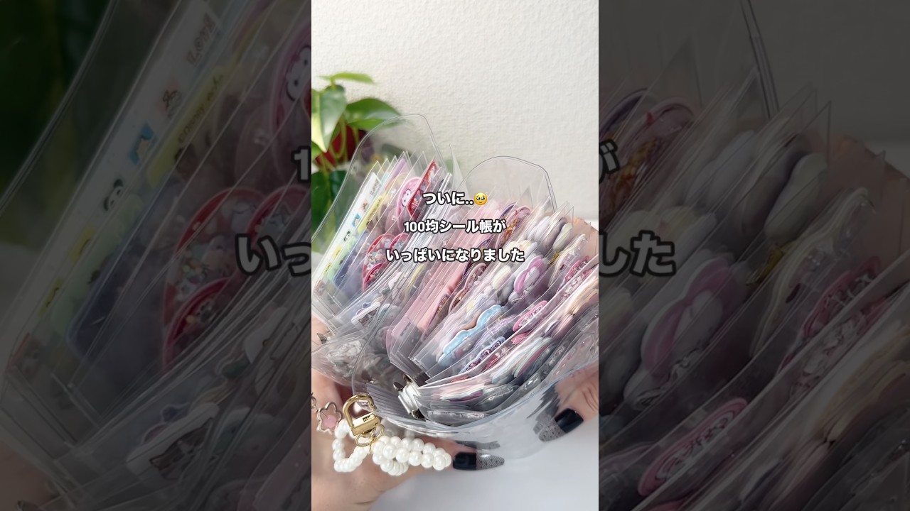 100均シール帳がパンパンになったので、3冊目を作ります💗 #シール #シール沼 #シール帳 #透明シール帳 #シール帳作り #ダイソー #ダイソー購入品 #購入品紹介 #asmrvideo