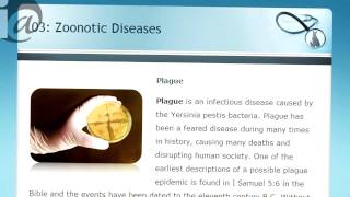 High School Veterinary Science / by eDynamic Learning