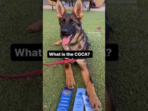 Canine Good Citizen