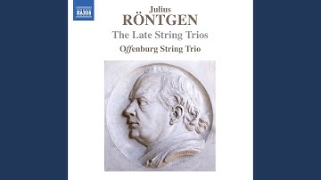 String Trio No. 13 in A Major: III. Allegro vivo e giocoso