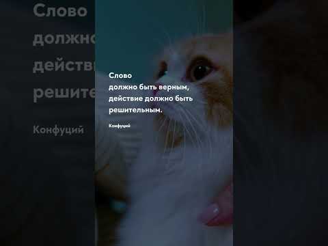 Действие должно быть Про жизнь цитаты цитаты цитати прожизнь прожиття цитатадня цитата мозг