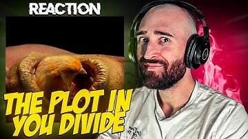 THE PLOT IN YOU - DIVIDE [FIRST TIME REACTION]