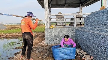 Kết quả khi vợ chồng miền tây Bẫy Chuột đồng  cũ @vochongmientaytv