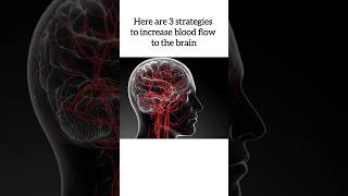 "3 Effective Tips to Prevent Alzheimer's and Boost Brain Health" @DrAshishSachan