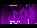 Willy Paul - Nimelewa (Official Audio)