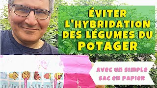 Comment éviter l'hybridation de ses légumes au potager  (pour récolter ses propres graines)