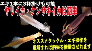 ヤリイカ ケンサキは専用品と狙い方が分かると釣果 倍 おすすめ流用タックル エギ しゃくり方をyamashitaスタッフが紹介 Youtube