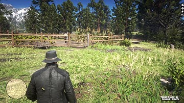 RDR2 - How to Save Arthur from Tuberculosis