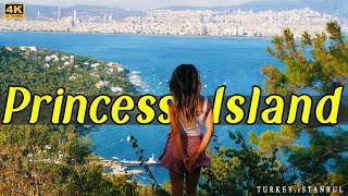 Princess Island | Istanbul Tour | Vlog 2 | Adil Sami | Fortune Group of Companies | Relinks |