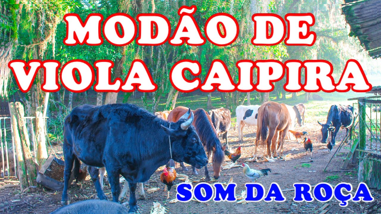 VIOLA CAIPIRA MANDA NO SOM DA ROÇA | MODA RAIZ MANDA NAS COISA NOSSA